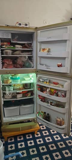 Pel Refrigerator Full Size - Single Hand Used