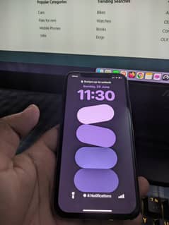 Apple iPhone XS