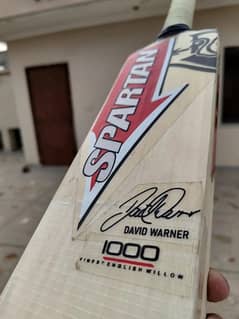 spartan sikander 1000 hardball cricket bat