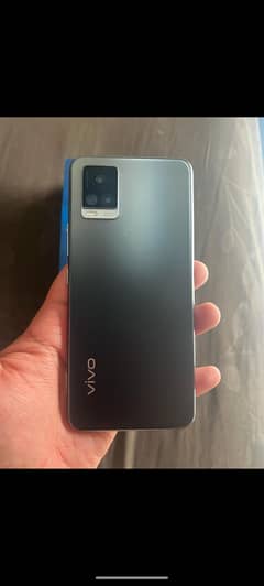 vivo