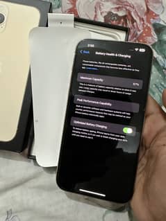 13pro max