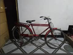 best cycle