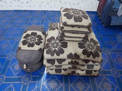 Cushion with covers