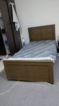 Bed for singles and bachelors