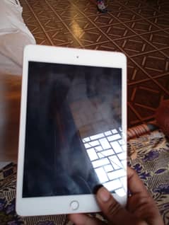 iPad Mini 5 256 GB Sim Varrient