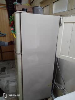 Refrigerator/ Frig For sale