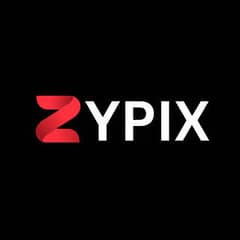 Sales Executive