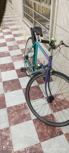 sports cycle