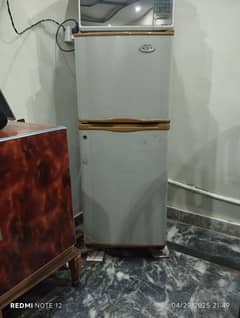 Waves Medium size fridge