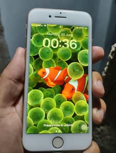 Iphone 8 PTA approved 64gb condition 10/8.5 good battery timing All ok