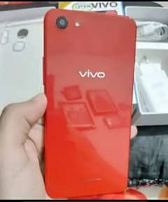 Vivo