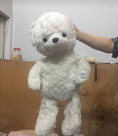 stuffed bear