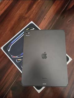 Apple iPad Pro 13 inches M4 (5G Cellular)