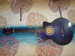 Acoustic Guitar