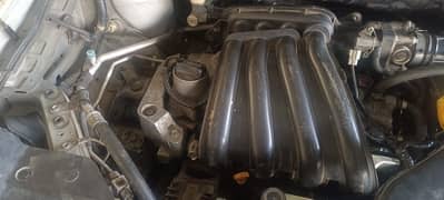 Nissan bluebird for sale
