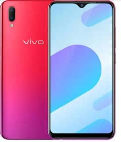 vivo