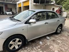 Corolla gli