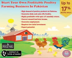 Start Poultry Farming Business | Farm Egg Chick Chicken Broiler Layer