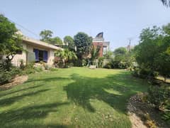 2 Kanal House Available For Rent For Office, Studio, Software House
