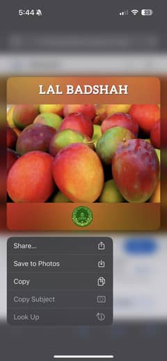 Lal Badshah Mango Red Mango