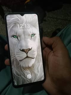 vivo