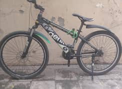 Greik bicycle