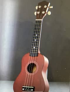 Brand new ukulele