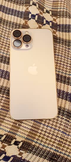 iPhone 13 Pro Max waterpack