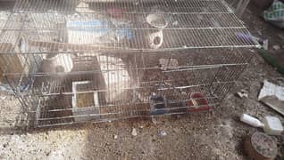 used cages available