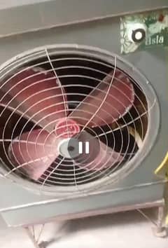 Air cooler