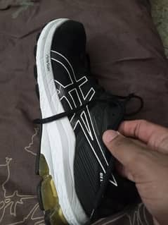 asics sports shoes