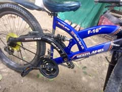 mountain fat tyre bicycle