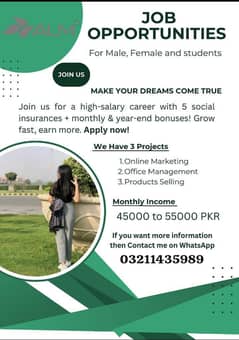 Online work available for students male and female