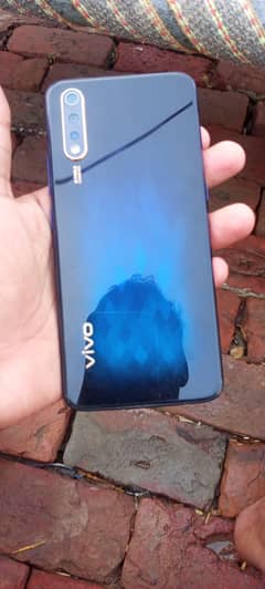 vivo