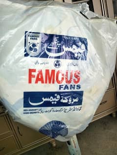 famous fan