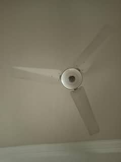 Ceiling