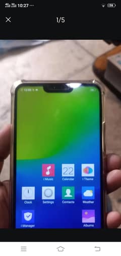 vivo