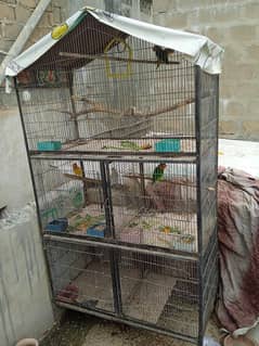 5 Portions Cage in Good Condition