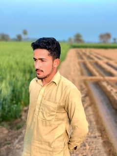 I need job