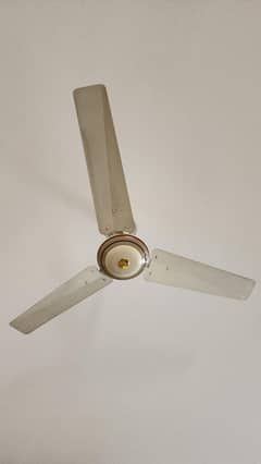 Wahid Ceiling Fan