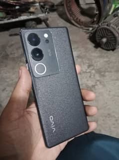vivo v29