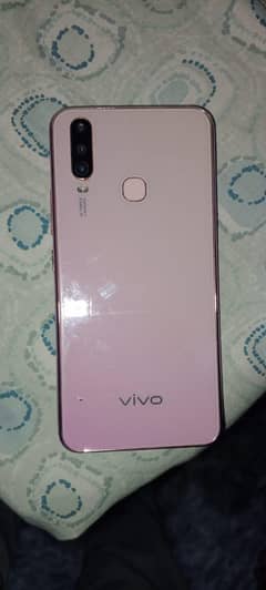 vivo