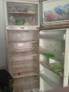 pel fridge medium size