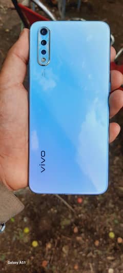 vivo