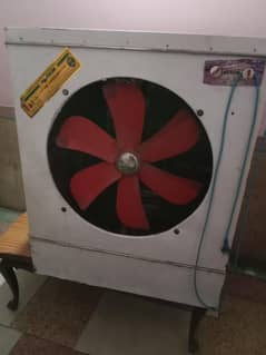 cooler big size