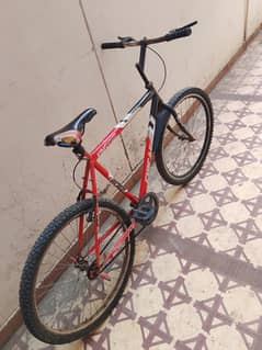 King of road cycle