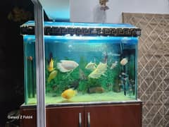 Aquarium