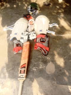 cricket ket beg for sale argent
