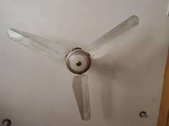 Ceiling fans 04 piece
