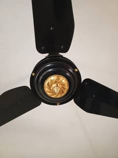 celling fan